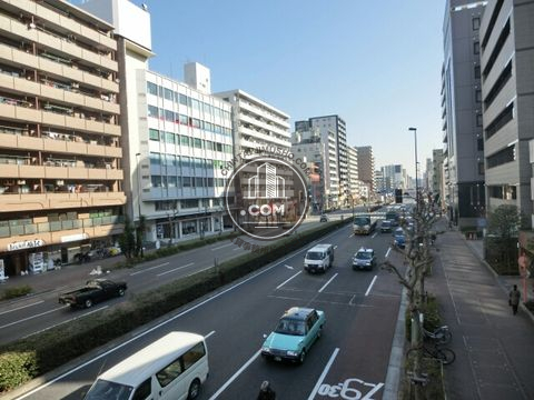 大通り