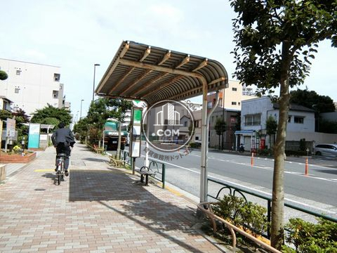 大通り