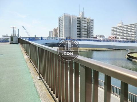 大通り