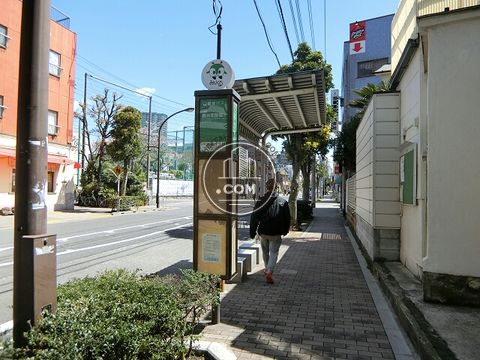 大通り