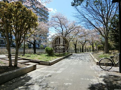 大通り
