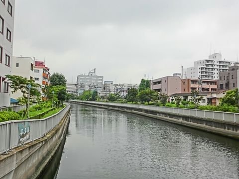 平久川 (汐見橋からの景観)