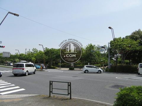 大通り