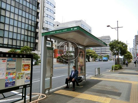 大通り