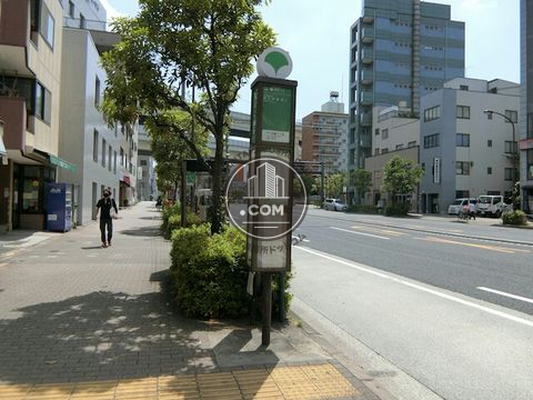 大通り