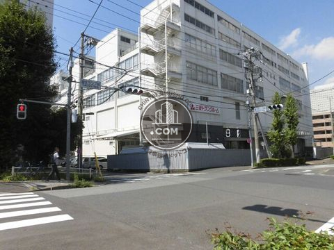 大通り