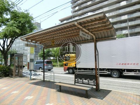 大通り