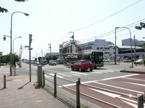 大通り