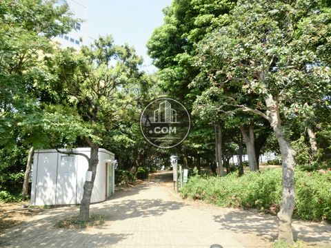 大通り