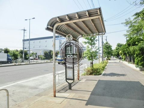 大通り