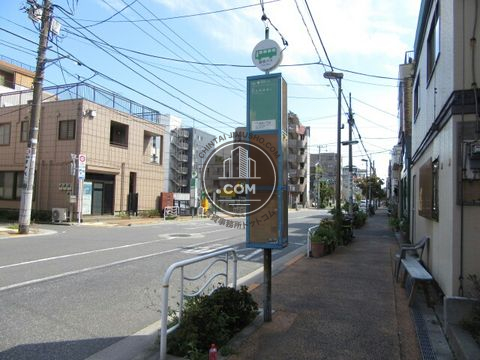 大通り