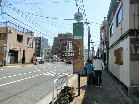 大通り