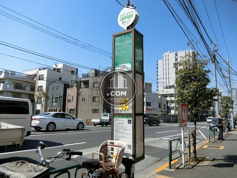大通り