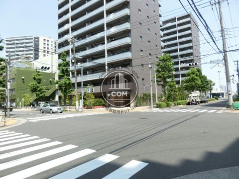 大通り