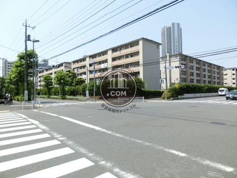 大通り
