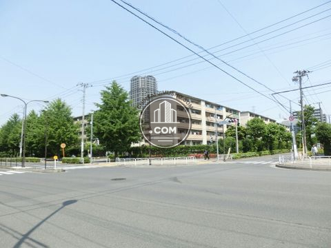 大通り