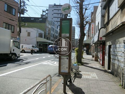 大通り