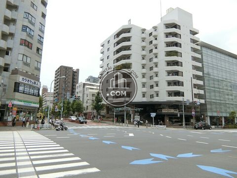 大通り