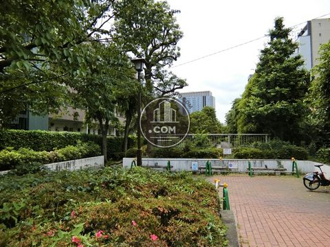 裏路地