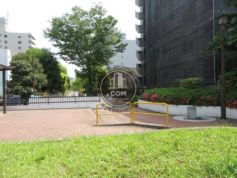 裏路地