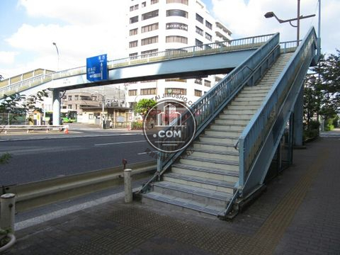 大通り