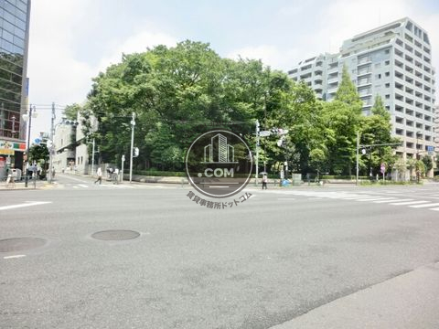 大通り