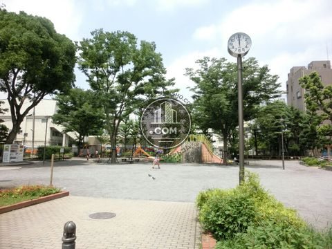 大通り