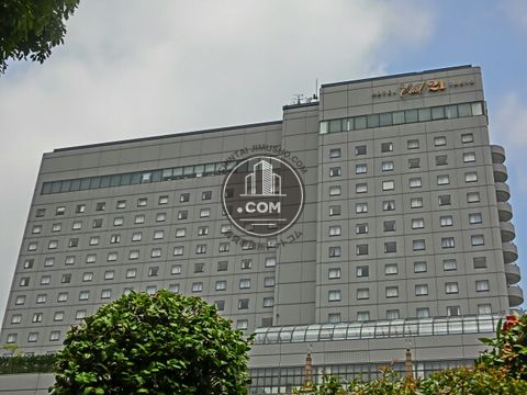 大通り