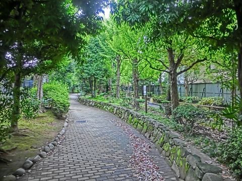 東陽町の遊歩道