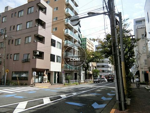 大通り