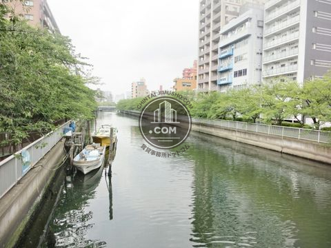 大通り