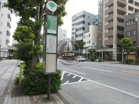 大通り