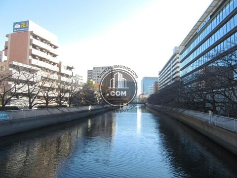 大通り