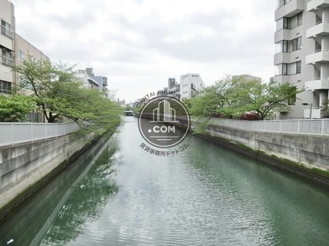 大通り