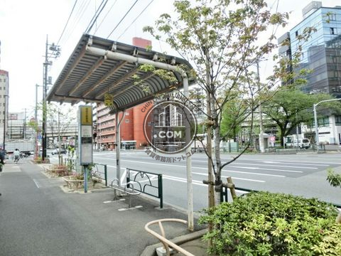大通り
