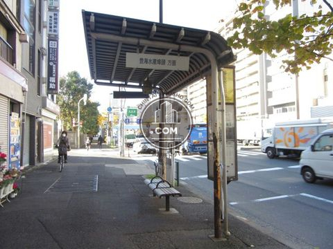 大通り