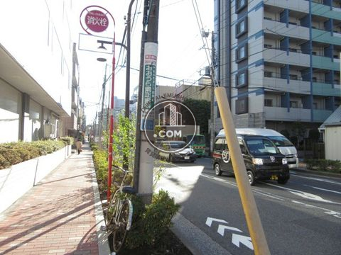 大通り
