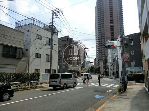 大通り