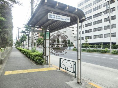 大通り