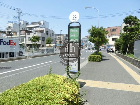 大通り