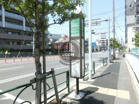 大通り