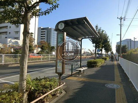 大通り