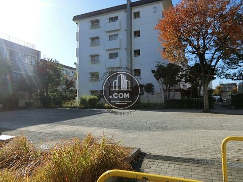 裏路地