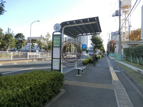 大通り