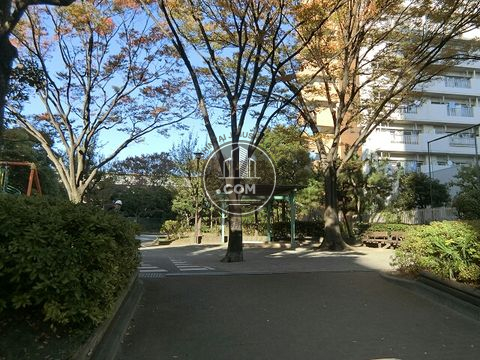 裏路地