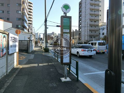 大通り