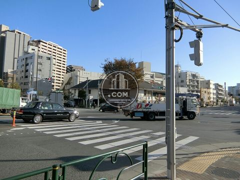 大通り