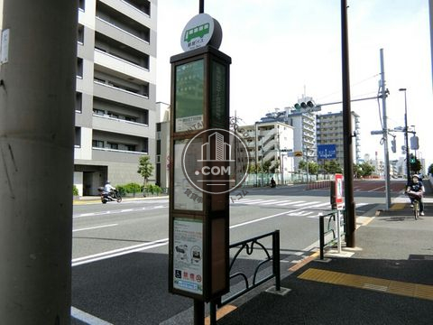 大通り