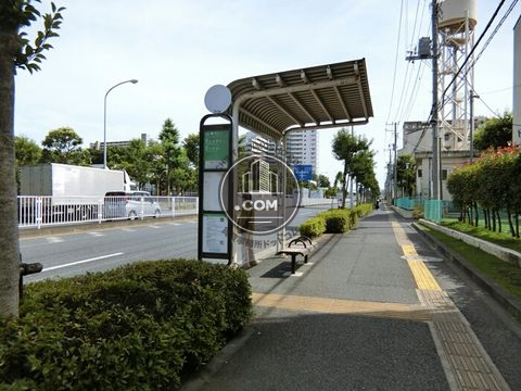 大通り