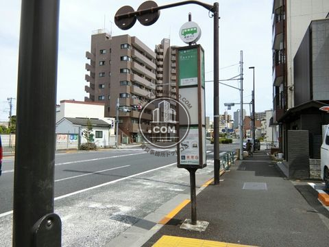 大通り
